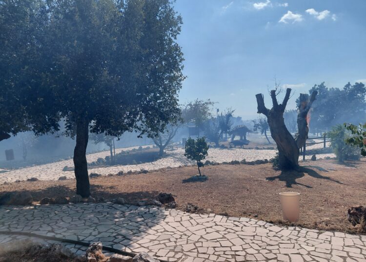 Fiamme al Parco dei Dinosauri: paura tra i turisti, danni minimi e riapertura vicina