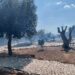 Fiamme al Parco dei Dinosauri: paura tra i turisti, danni minimi e riapertura vicina
